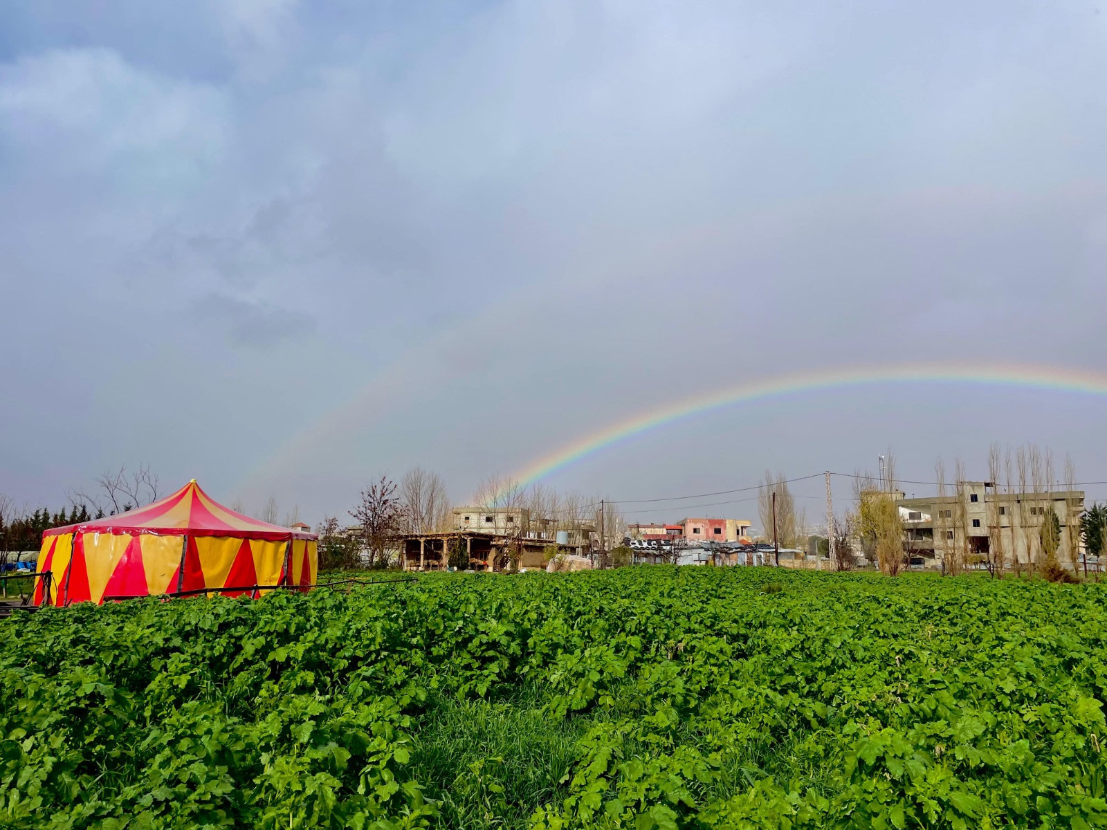 Photo of bulaban circus