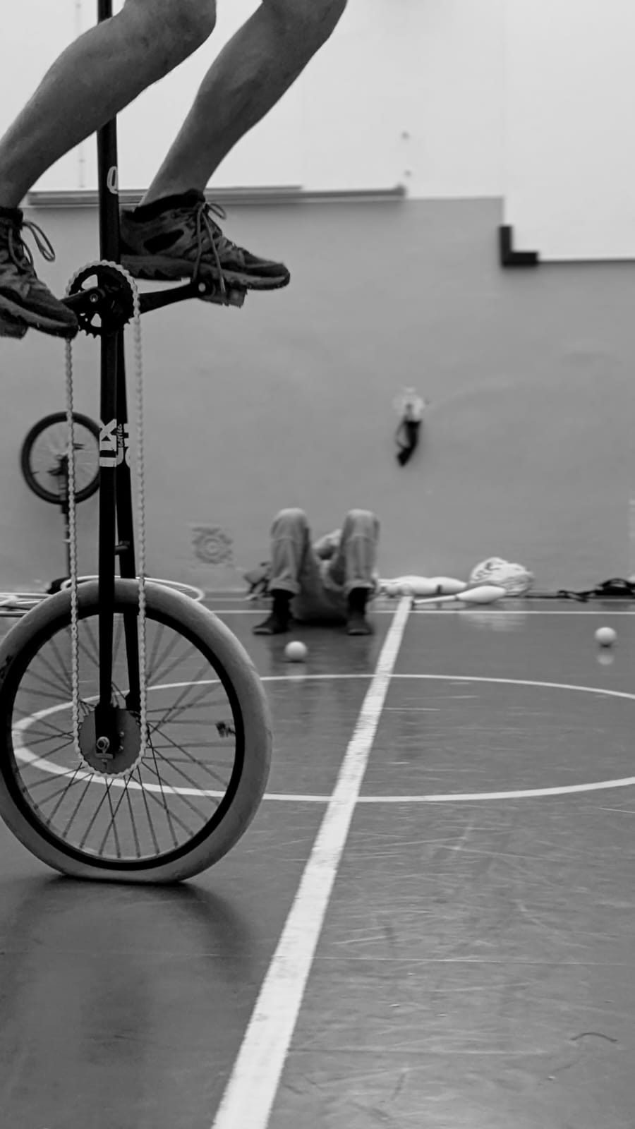 Photo of palestra VolaTutto